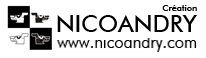 Logo Nico Andry